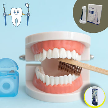 Cepillo Dental