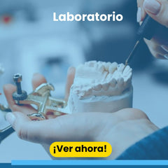 Collection image for: Laboratorio