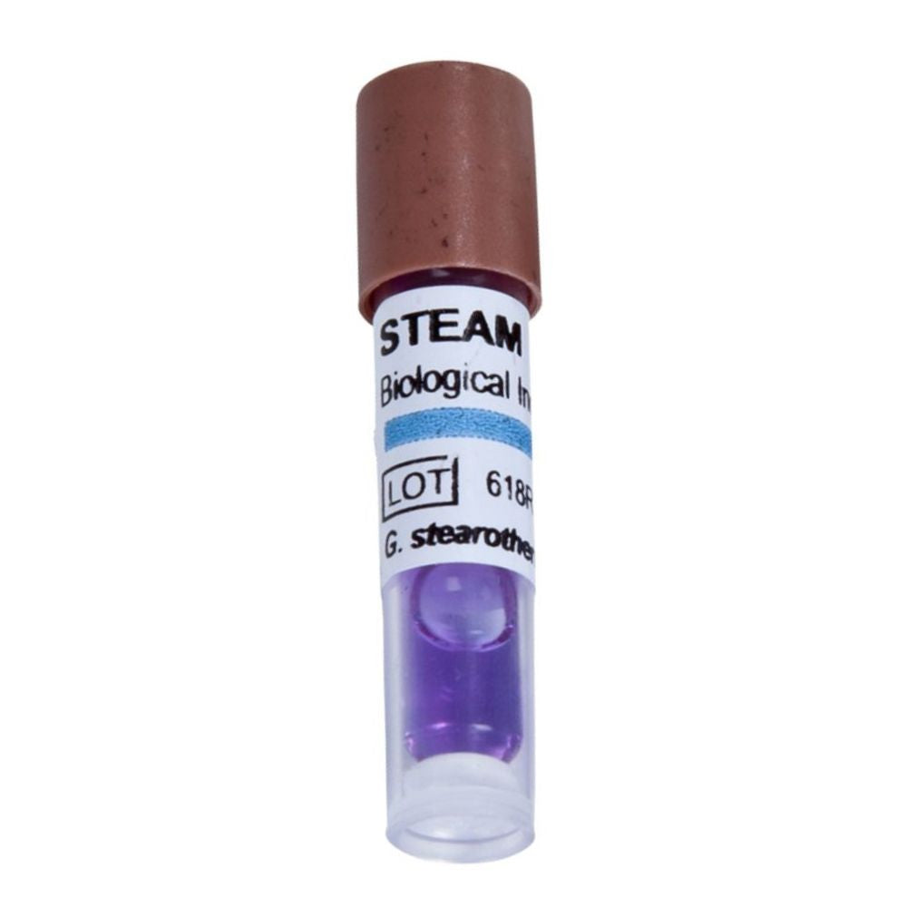 Indicadores Biologicos 24Hs Ester Cont Steam. Indicadores Biológicos 24Hs Ester Cont Vapor Los indicadores biológicos...
